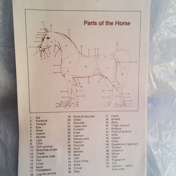 VINTAGE HORSE HANDLING BOOK plus extra booklet - Picture 11 of 12